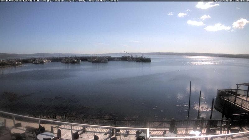 Digby Harbour