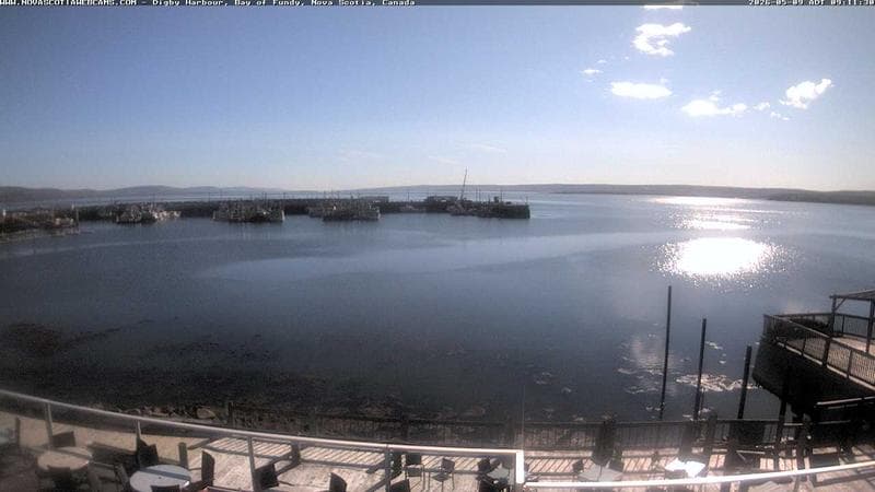 Digby Harbour