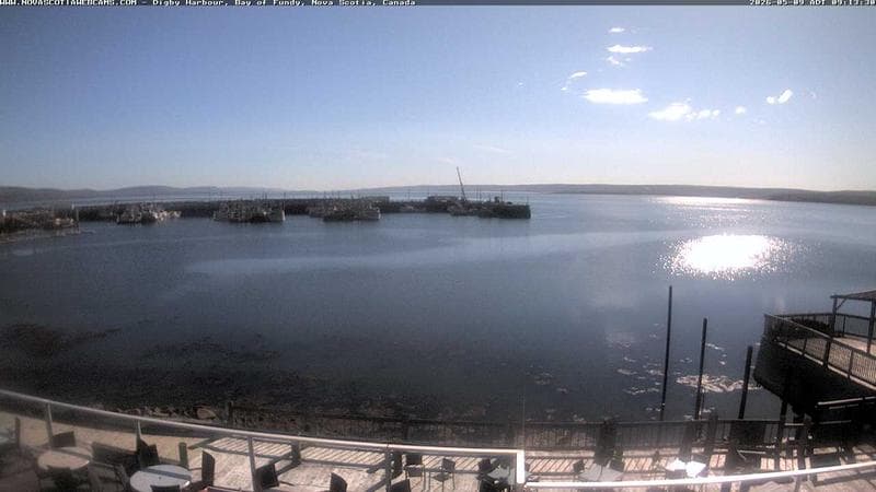 Digby Harbour