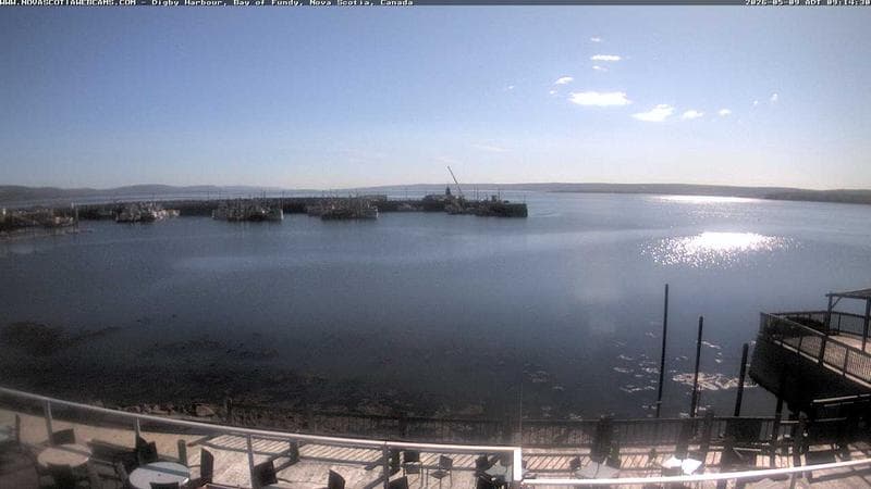 Digby Harbour