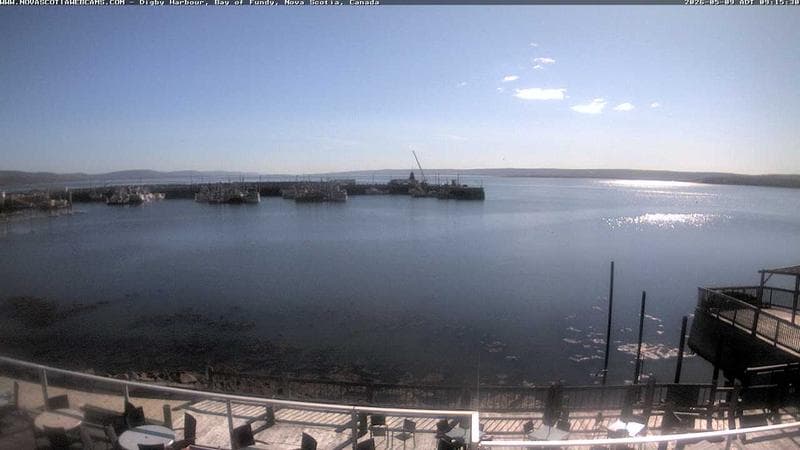 Digby Harbour