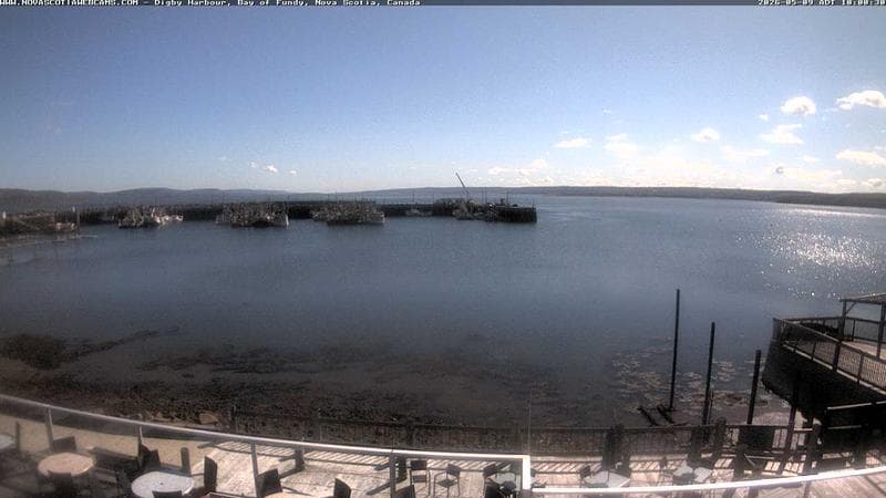 Digby Harbour