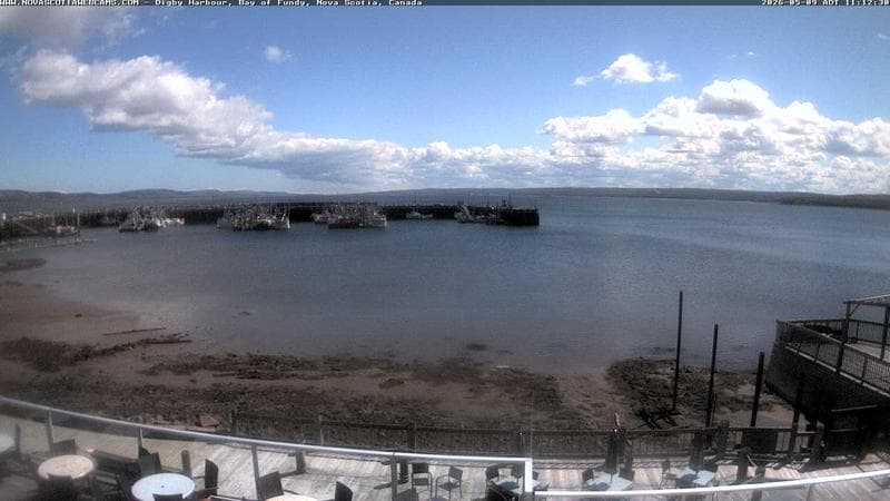 Digby Harbour