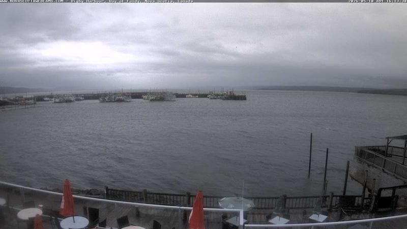 Digby Harbour