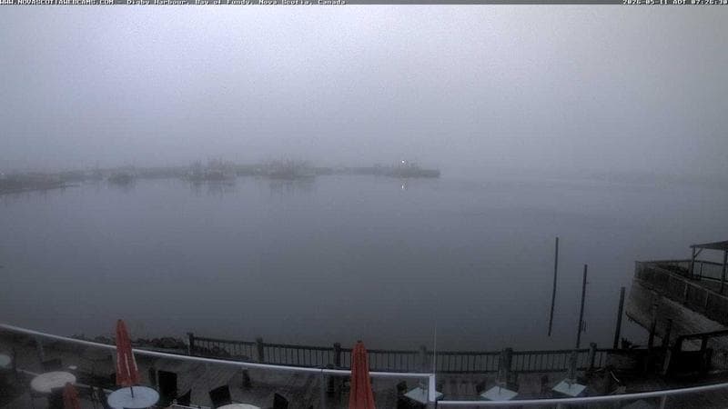 Digby Harbour