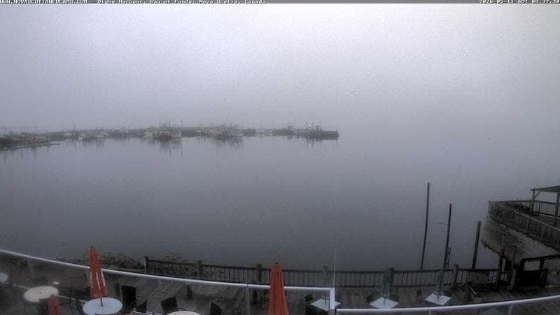 Digby Harbour