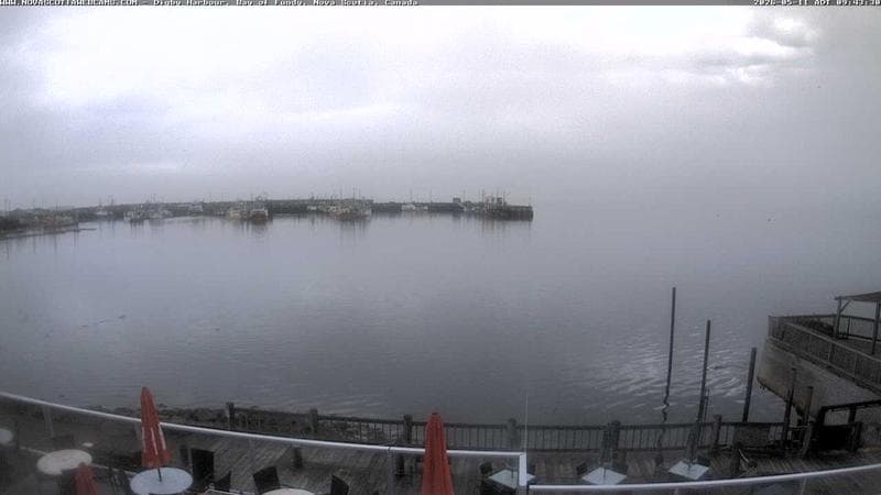 Digby Harbour