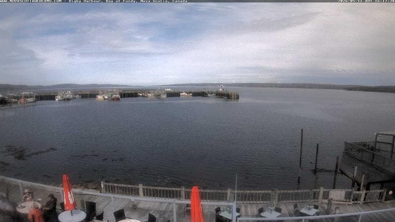 Digby Harbour