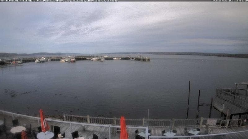 Digby Harbour