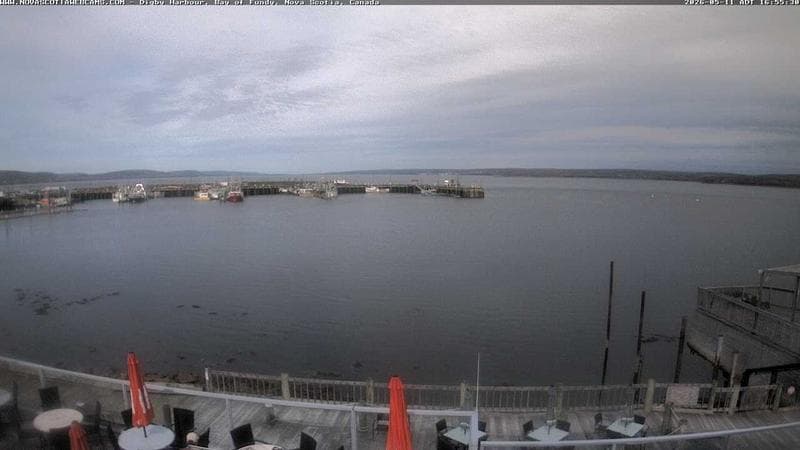 Digby Harbour