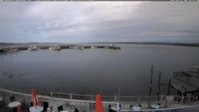 Digby Harbour