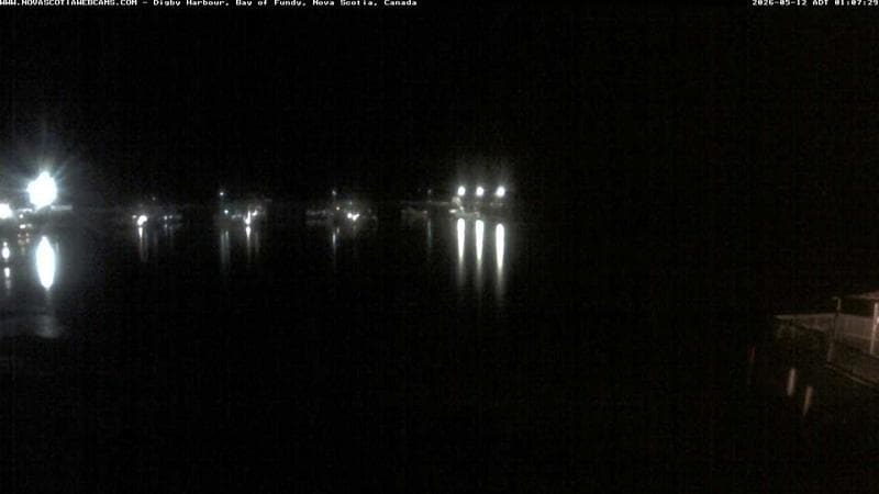 Digby Harbour