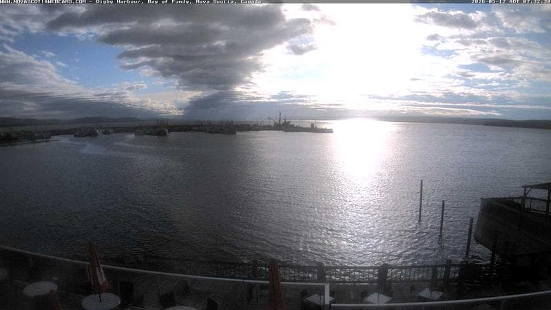 Digby Harbour