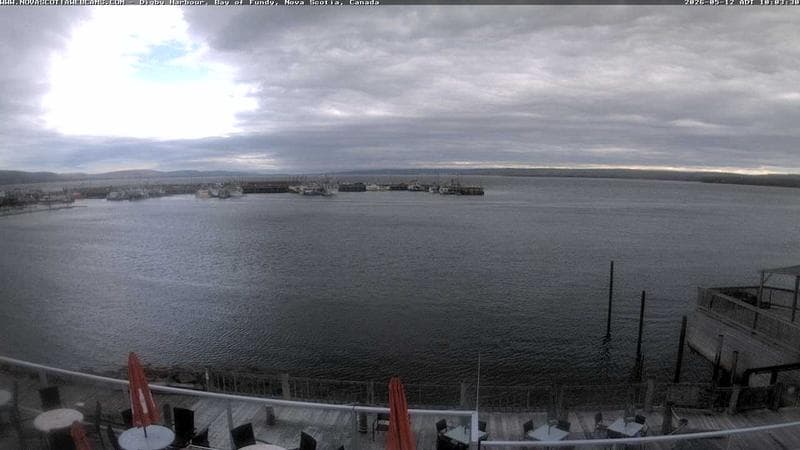 Digby Harbour