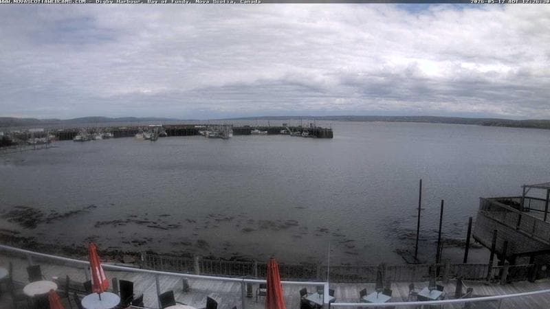 Digby Harbour