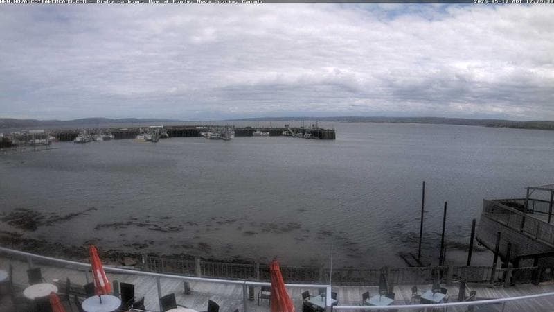Digby Harbour