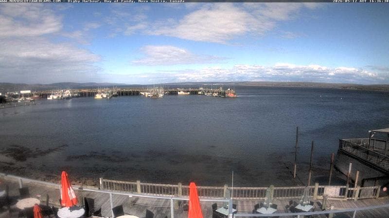 Digby Harbour