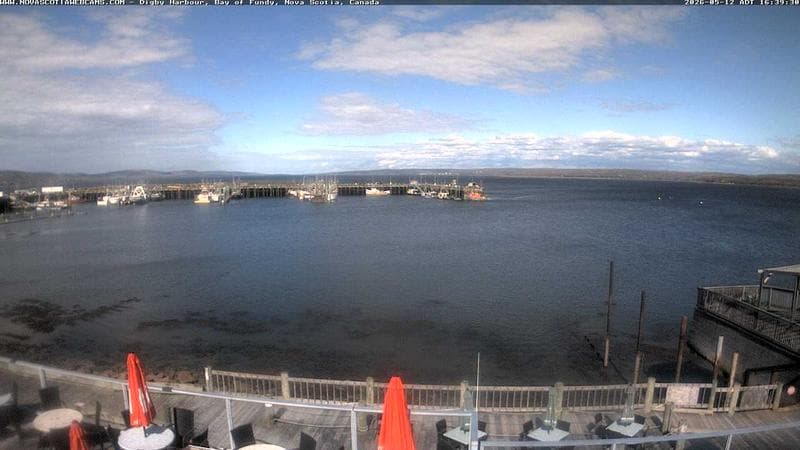 Digby Harbour