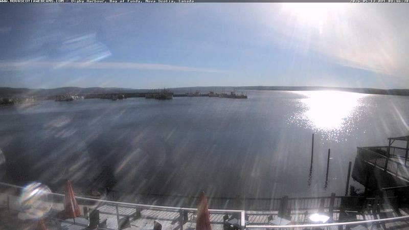 Digby Harbour