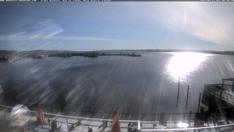 Digby Harbour