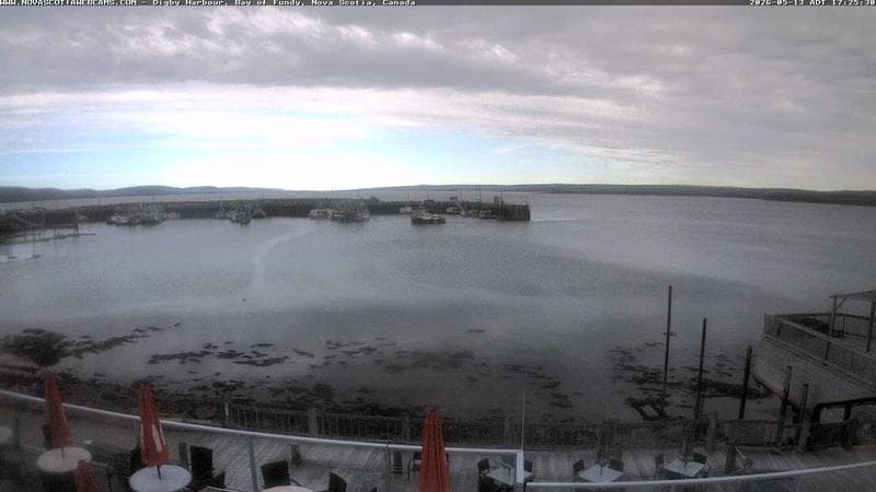 Digby Harbour