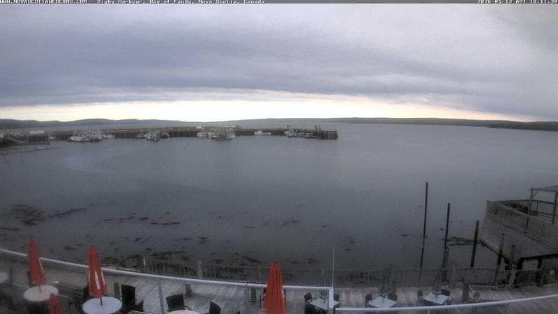Digby Harbour