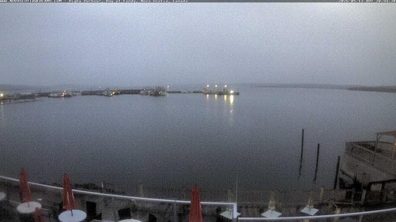 Digby Harbour