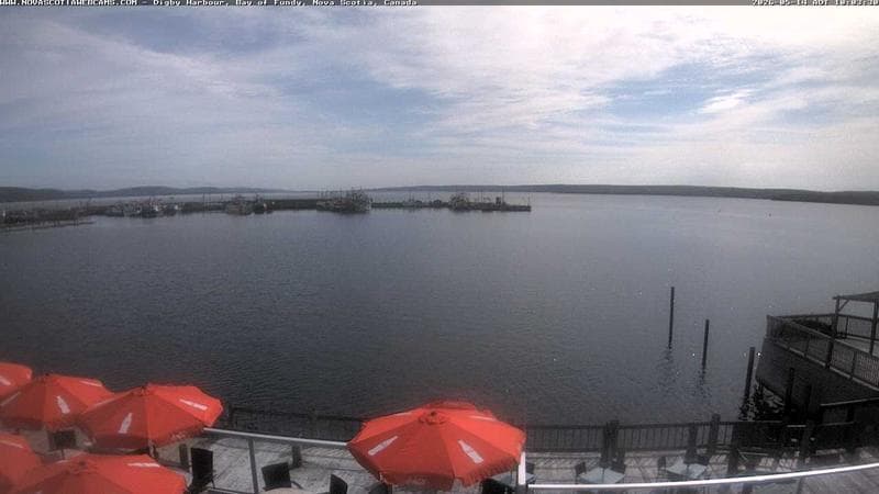 Digby Harbour