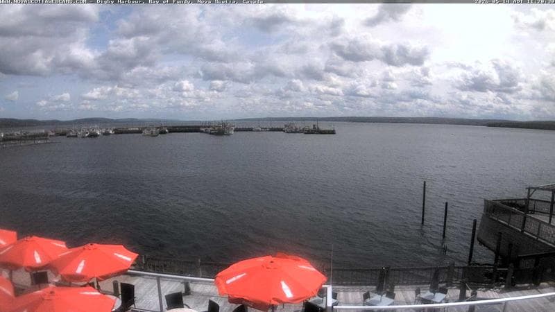 Digby Harbour