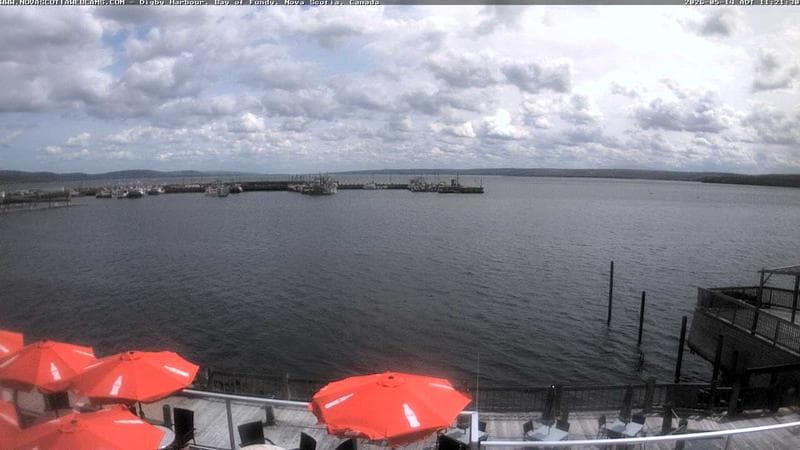 Digby Harbour