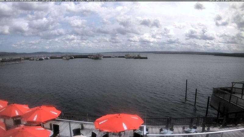 Digby Harbour