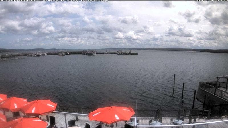 Digby Harbour