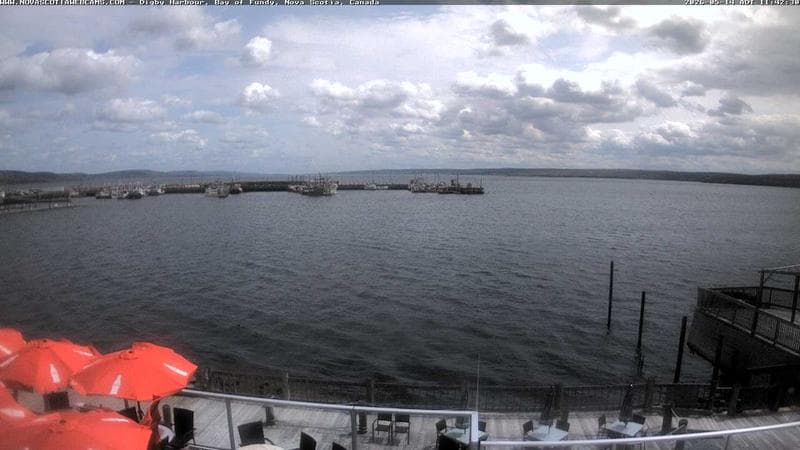 Digby Harbour