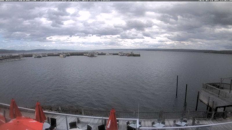 Digby Harbour