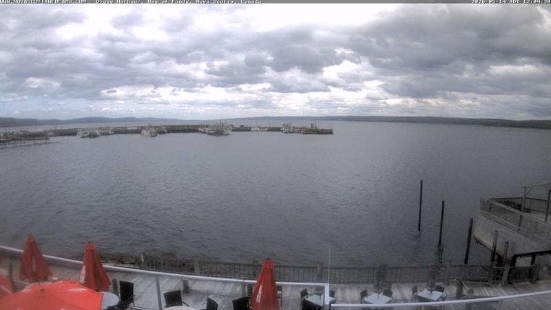 Digby Harbour
