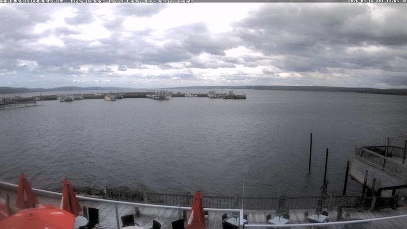 Digby Harbour
