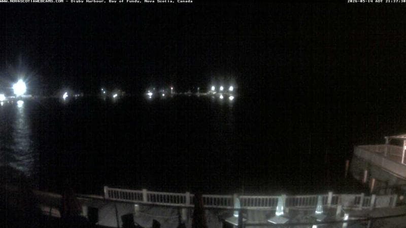 Digby Harbour