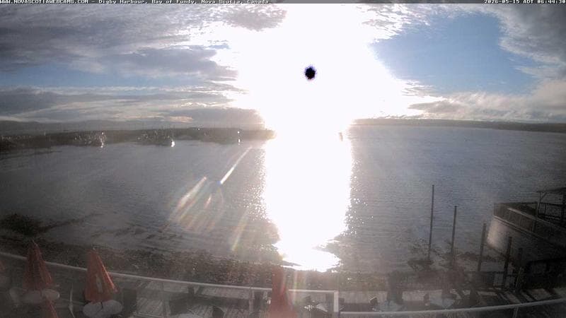 Digby Harbour