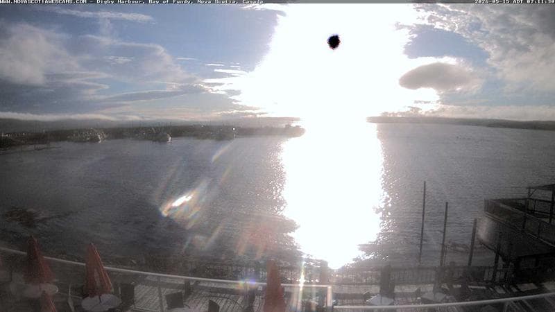 Digby Harbour