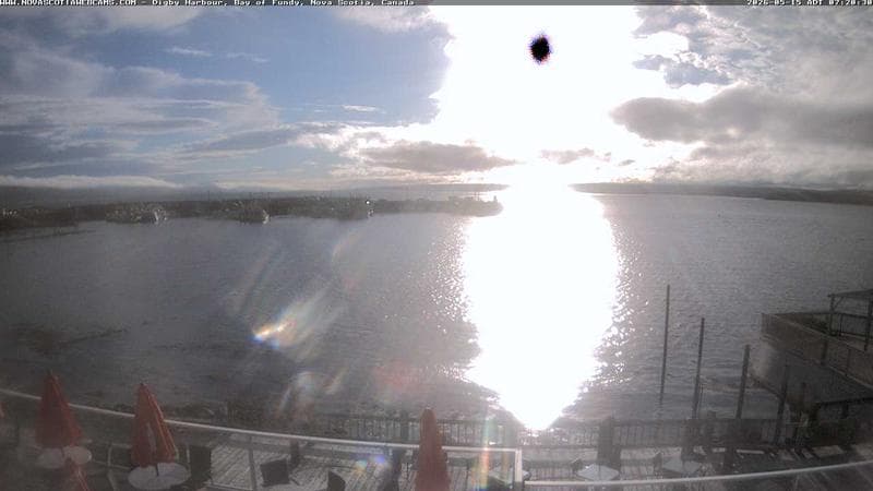 Digby Harbour