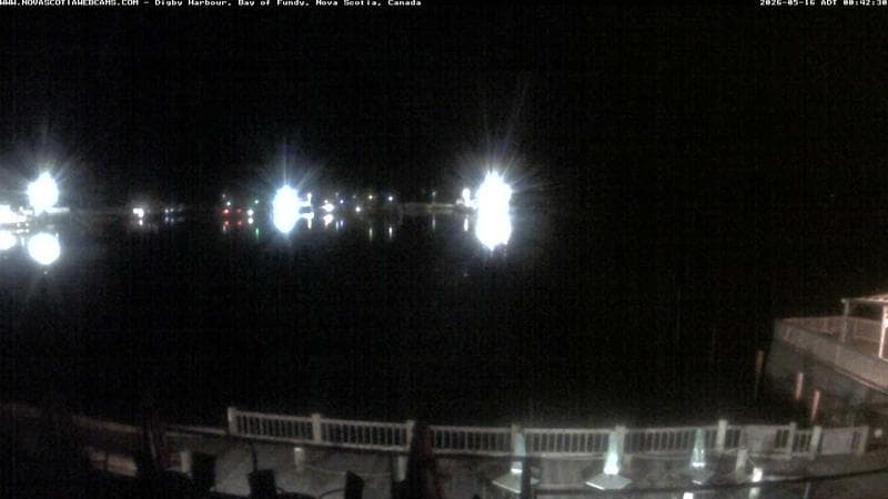 Digby Harbour