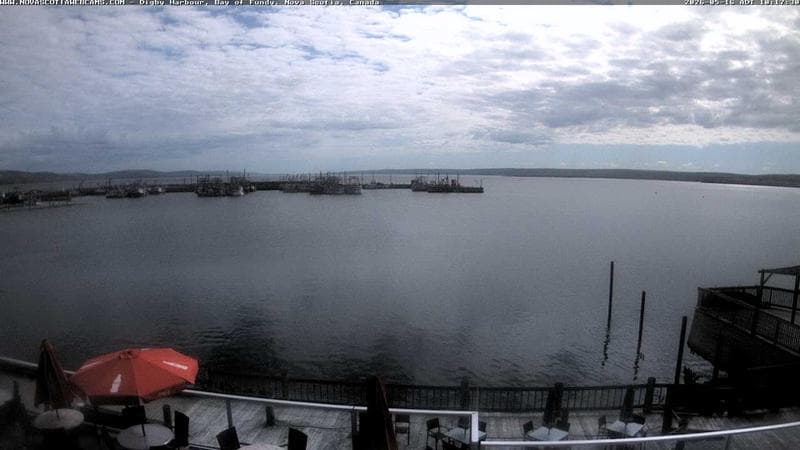 Digby Harbour