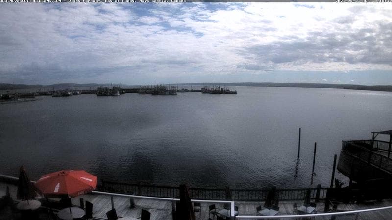 Digby Harbour