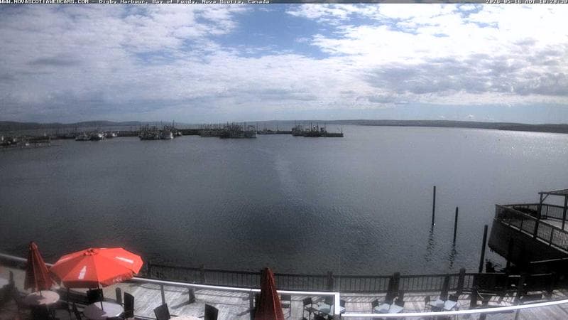 Digby Harbour
