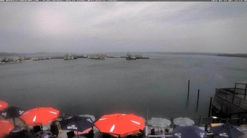 Digby Harbour
