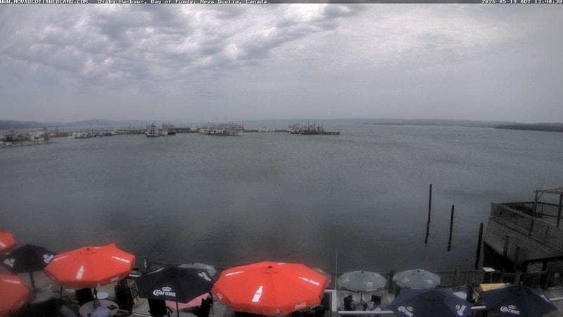 Digby Harbour
