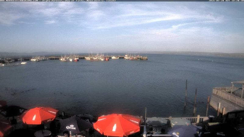 Digby Harbour