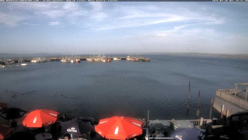 Digby Harbour