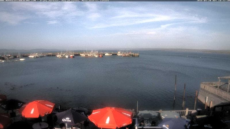 Digby Harbour