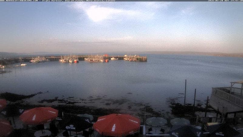 Digby Harbour